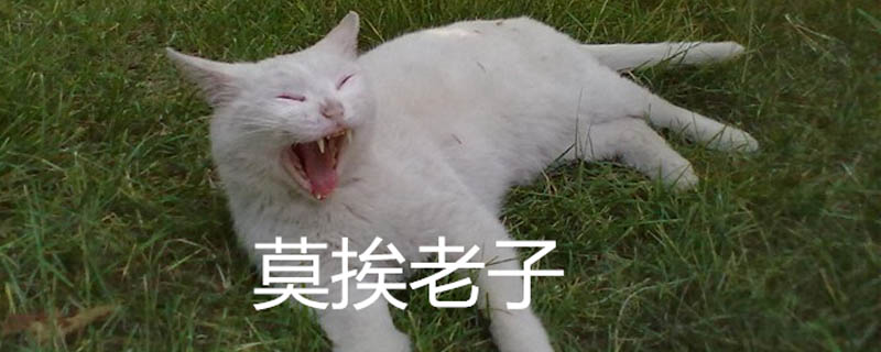 “莫挨老子”是什么梗?背后含义全解析