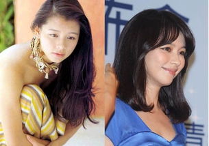 澄清事实:徐若瑄演艺经历与形象变迁解析(二)