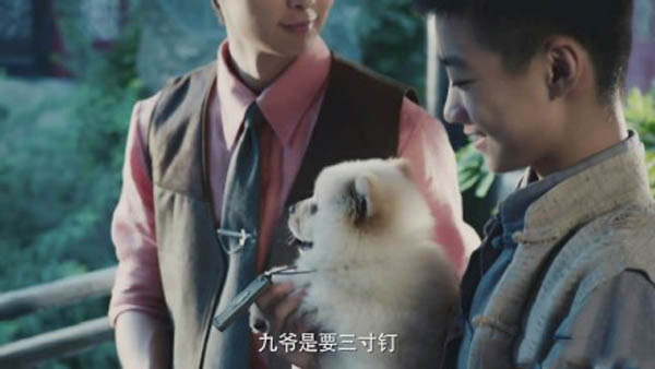 沙海：小满哥和三寸钉实力相当，专克黑飞子，西藏獚同样不容小觑