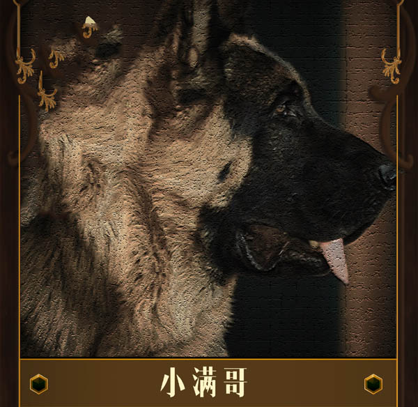 沙海：小满哥和三寸钉实力相当，专克黑飞子，西藏獚同样不容小觑