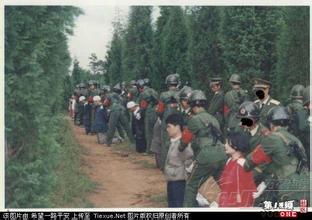 揭秘：死刑犯刑场上的最后瞬间，真实枪决场景罕见曝光