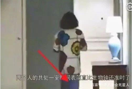 张丹峰为何看上女经纪人毕滢?背后原因引热议