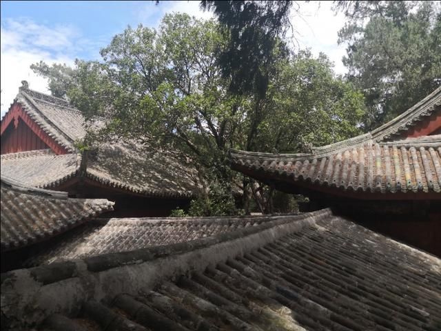 文殊菩萨保佑什么 高考拜文昌菩萨还是文殊菩萨