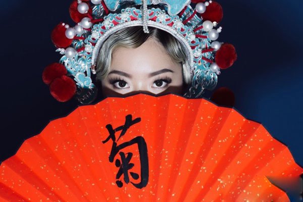 王菊怎么火起来的 舞台表现力很突出