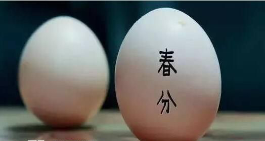 鸡蛋立起来是不是迷信 迷信鸡蛋站起来的原理