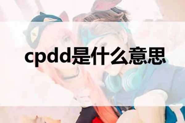 cpddʲô˼ôظ cpdd