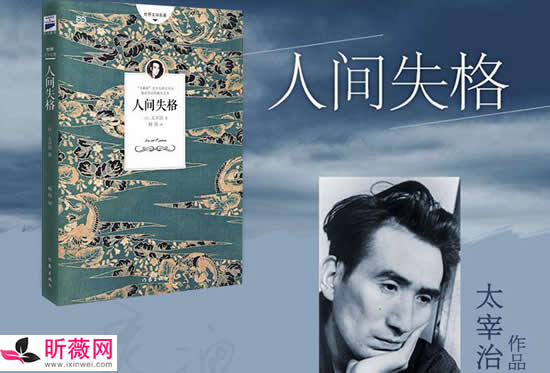 有什么可以熬夜看的小说推荐吗 推荐50本熬夜看完的小说