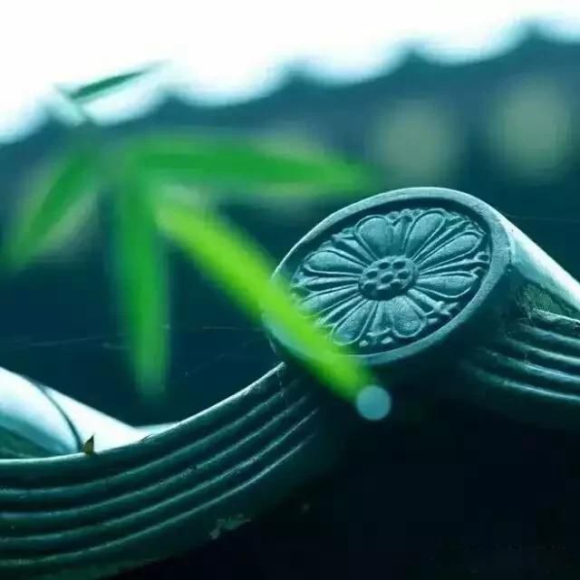 好看的皮囊千篇一律,有趣的灵魂万里挑一是什么意思