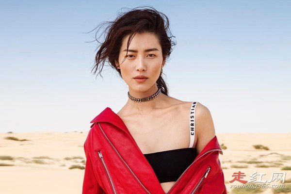 刘雯为什么不走维密了 连续参加了四届维密秀