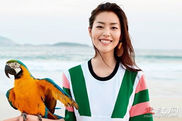 刘雯为什么不走维密了 连续参加了四届维密秀