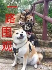 豦ʲô˼ ָʲôҪ