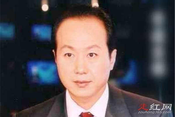 罗京患的是什么病 死亡真实原因怎么回事