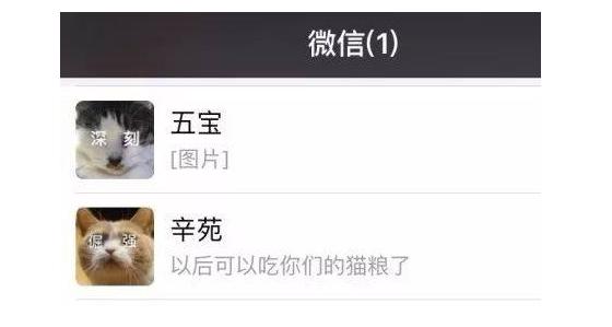 张辛苑出柜是真的吗 张辛苑恐怖素颜照片