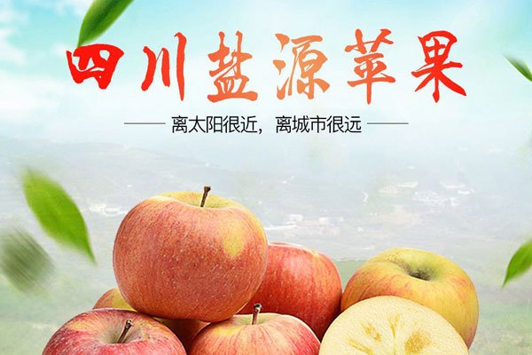 丑苹果的功效与作用 就是糖心病苹果吗