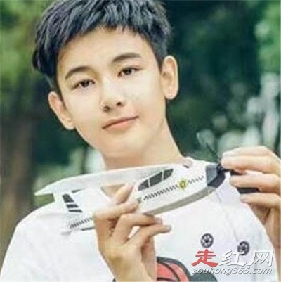 胡先煦个人资料介绍 高考成绩多少分