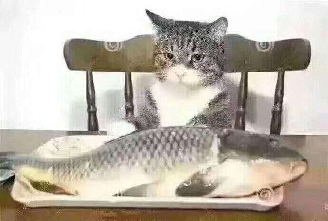 ƽ ƽ¹۵Ԥ