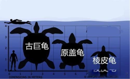 ڹж ʲô곤ʲôͼƬ