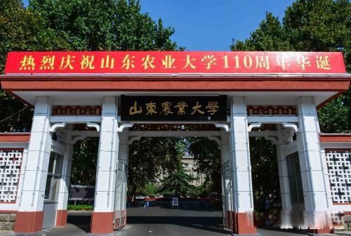 山东最好的大学排名前十名 最好的两所都是985名校