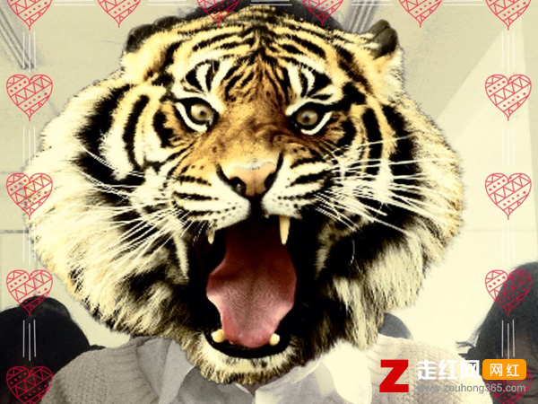 小和尚下山去化斋老和尚有交代是什么歌，女人是老虎歌曲介绍