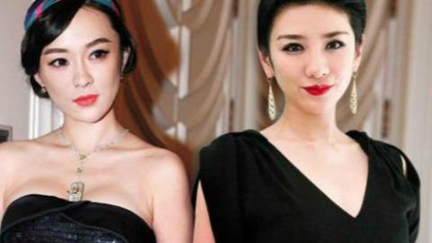 为什么说嗯哼长得像王中磊 霍思燕和王中磊恋情私交绯闻天涯扒皮