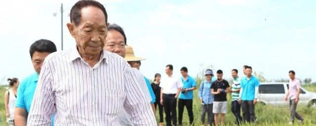 袁隆平生平及主要事迹 一位种了一辈子稻子的农民