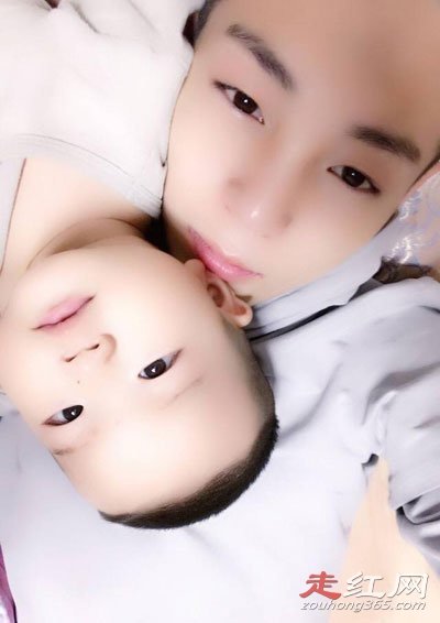 高迪和大美的故事当年发生了什么 有几个宝宝